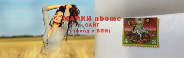 мдпв Протвино
