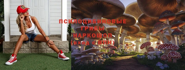 мдпв Протвино
