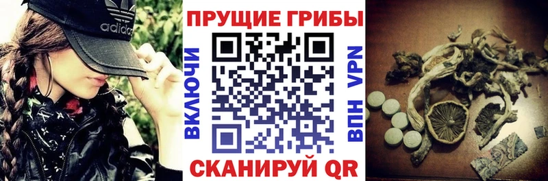 Купить где Семилуки Галлюциногенные грибы мицелий